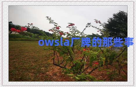 owsla厂牌的那些事