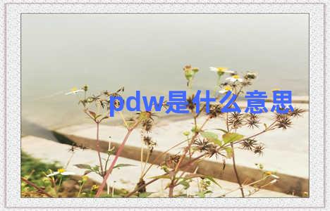 pdw是什么意思