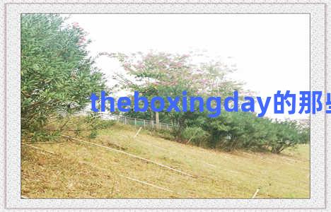 theboxingday的那些事