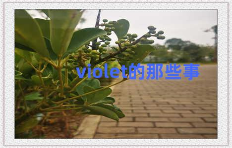 violet的那些事