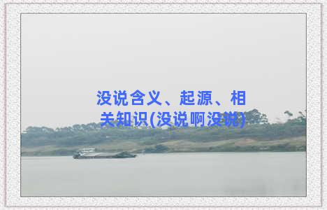 没说含义、起源、相关知识(没说啊没说)