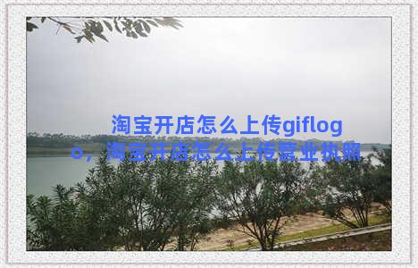 淘宝开店怎么上传giflogo，淘宝开店怎么上传营业执照